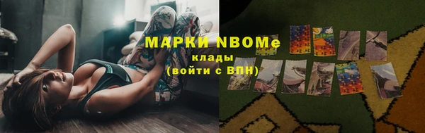 стаф Белоозёрский