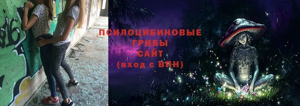 не бодяженный Богородицк