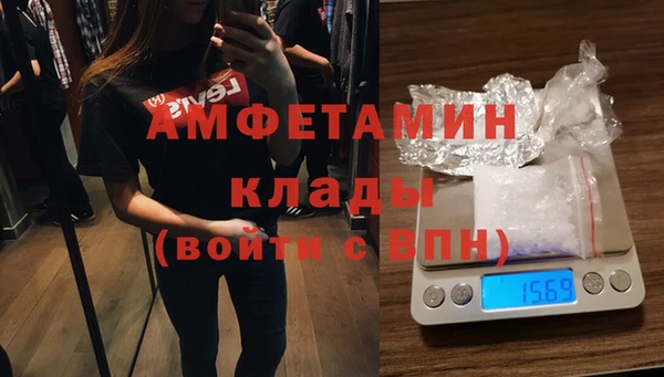шишки Белокуриха