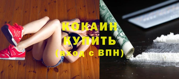 шишки Белокуриха