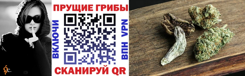 Галлюциногенные грибы Psilocybine cubensis Дагестанские Огни