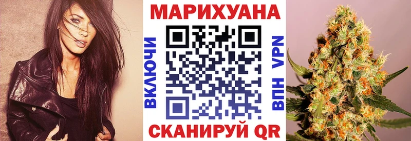 Бошки Шишки SATIVA & INDICA  продажа наркотиков  Дагестанские Огни 